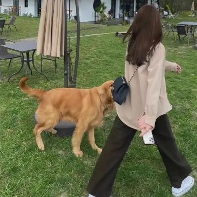 深埋的宝藏